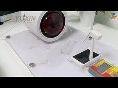 Window Tint for Cars & Homes