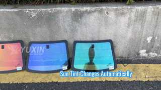 Chameleon film choices